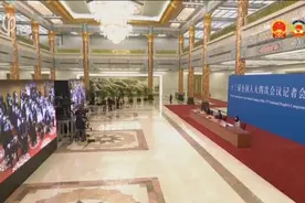 CHINA AIMS TO ENSURE EMPLOYMENT AND GDP GROWTH视频封面