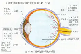 住鲁人大代表称国产人工角膜或今年用于临床 对患者来说意味着什么？图片