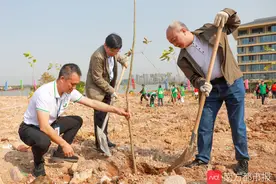 为城市添新绿，东莞未来3年将种植10万株开花乔木图片