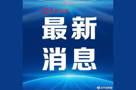 首次采取专业组投档录取模式！广东2021高考填报指南来了图片