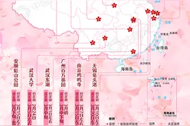 春来早！2021全国赏樱地图出炉 樱花全面提前绽放啦图片