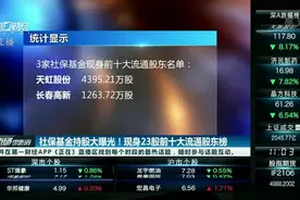 社保基金持股大曝光！现身23股前十大流通股东榜视频封面
