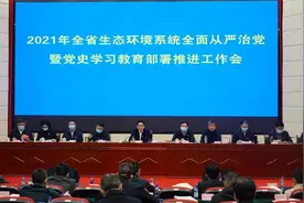 2021年福建省生态环境系统全面从严治党暨党史学习教育部署推进工作视频会议召开图片