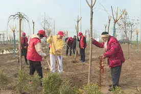 菏泽市单县：百岁老人身体好 义务植树精神佳图片