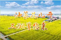 视频丨常德十美堂油菜花节3月16日开幕 6万亩油菜花盛放迎客图片
