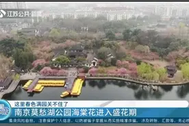 这里春色满园关不住了！南京莫愁湖公园海棠花进入盛花期视频封面