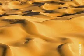 干掉沙漠，搞出林海！中国人种树到底有多牛？图片