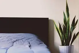 睡眠健康小知识图片