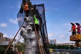 救治一棵406岁的古树：春暖时愿它再次枝繁叶茂视频封面