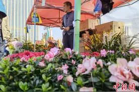 兰州万花“集会”斗艳：市民众里寻香，一抹彩色受青睐图片