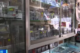 曾是赠品的美职篮球星卡片为何能卖到一张1200万美元？图片