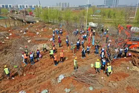 光谷生态大走廊栽下百余樱花树图片