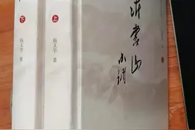 品文荐书｜《沂蒙山小调》：映射沂蒙精神的浩气长歌图片