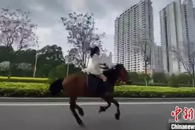 广西女子街头策马奔腾，称只是觉得好玩，交警：已约谈教育图片