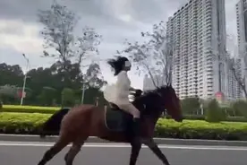 一女子在北海街头策马奔腾，交警：已约谈教育图片