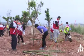 翁源县四套班子领导义务植树造林图片