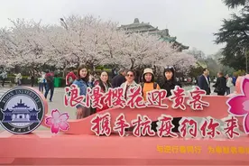 “武汉太美了，好想看个遍！”3名重庆援鄂护士带亲友来武汉赏樱图片