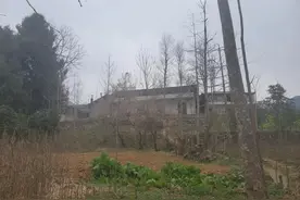 庞麦郎父母：他常把自己关在屋里，胡言乱语爱摔东西图片