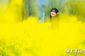 花好看菜好呷，快去岳麓含浦千亩油菜花海撒欢图片