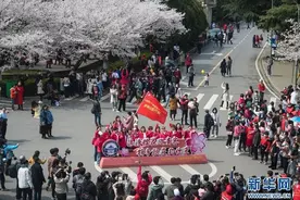 武大设专场迎援鄂医护赏樱：去年错过的武大樱花 今年来兑现图片