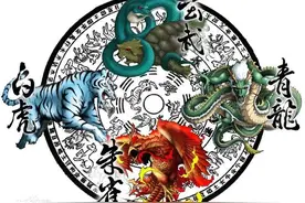 原来“左青龙，右白虎，前朱雀，后玄武”和天文学还有这样的渊源图片