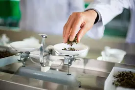 那些年被吹捧的神医后来都怎么样了？图片