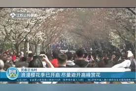 温馨提醒！南京浪漫樱花季已开启，赏花尽量避开高峰期视频封面