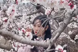 60秒丨济南周边赏花攻略来了！去杏花海里拍张照片 承包整个朋友圈吧视频封面
