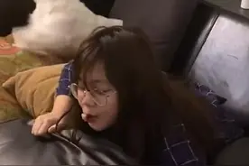 狗子发现主人偷吃一秒蹦上沙发抢食笑翻网友：交出来我都闻到了图片