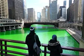 美国芝加哥河变绿油油 庆祝圣帕特里克节图片