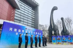 河南自然博物馆发布首批十大镇馆之宝，都是哪些？图片