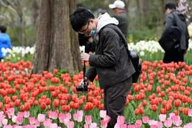 各地春暖花开 风景如画图片