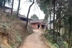 探访庞麦郎家乡，村民称其跟家里要不到钱曾打父母