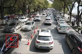 紧急提醒！事关团城山公园赏樱图片