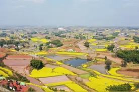 桃花梨花进入盛花期 四川自贡七大赏花景点盘点图片