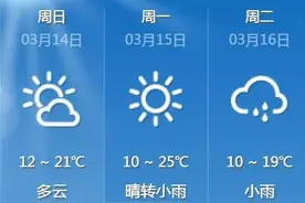 【伍家岗一周风云第177期】伍家岗区“企业直通车”首场专项职称评审工作正式启动图片