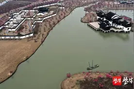 江苏灌云：千亩梅园花盛开，引万名游客踏春赏花图片