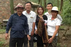 拼出“甜蜜”生活！来听海南这位90后“采花娘子”与父母的养蜂故事图片