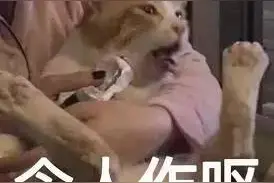 卧室传来阵阵臭味，夫妻俩发现来自床垫！剪开一看恶心坏了图片