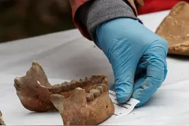 西班牙北部发现史前人类骨骼：距今已有11700多年图片
