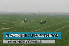 石家庄市藁城区：机械化助力麦田春管视频封面