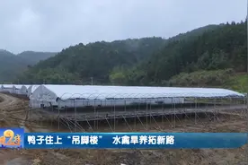 鸭子住上“吊脚楼”〉 水禽旱养拓出环保养殖新路图片