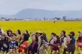 旅行团大妈进油菜花地唱歌拍视频，主人劝阻未果无奈站一旁视频封面