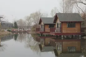 泰安新泰市：春风细雨润花开图片