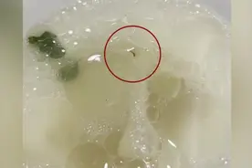 315维权丨吃火锅吃到一半发现蚊子，认为9折敷衍全款买单视频封面