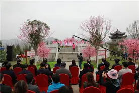2021丹凤桃花节暨第三届花朝节开幕图片