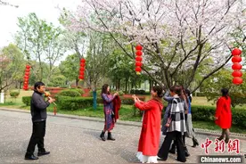 湖北宜都：樱花烂漫春满园 美景如画引游人图片