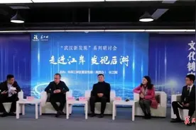 武汉新发现：后湖将成为武汉市二环和三环之间最具活力地区图片