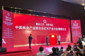 2021中国（中山）红木家具博览会暨大涌红木春季交易会今日开幕图片