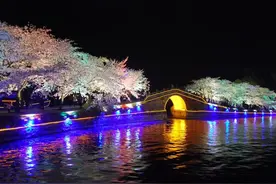 夜赏樱花游园会时间定啦！图片
